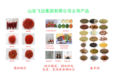 匠心调味，点亮每一餐——全方位解析调味品产品与生产工艺